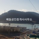 월호도요 이미지