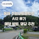 빈 오토 | 동해 추암오토캠핑장 A12 후기 예약 방법 명당 추천