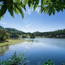 문화의 거리 및 명소화 거리 이미지