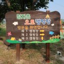 청자촌 2캠핑장 이미지