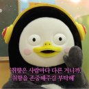 우디스테이 이미지