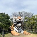 광장로 116 ~ 광장로 132-1 | 🐘🌺 직장인 워크샵 장소추천 | 서울동물원&amp;식물원 힐링 나들이 🌸