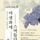 아침고요 이미지