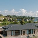 사계연화 이미지