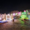 퍼스트가든 동물카페 이미지