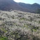 로가디스전주 이미지