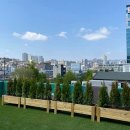 루프탑 - 안동시 검무로 10-15 | 루프탑