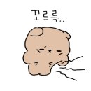 안산제일복싱