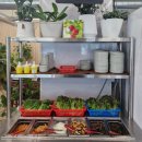 이현동2 | 진주 이현동 맛집 돈가마니 점심특선 제육볶음 된장찌개