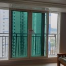 그린셀프크리닝 이미지