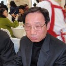 유영자 Daum카페