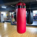 전진만 챔피언 복싱클럽 이미지