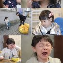 잼잼 - 가평군 둔덕말길 13-62 | 잼잼