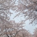병산로 이미지