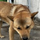 성혜농장 이미지