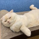 서울피부과의원 이미지