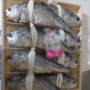 영광 쉼표여행 신청부터 환급까지, 놓치면 후회할 반값 여행 가이드