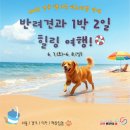 댕댕하개 이미지