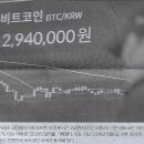 뷰티나라