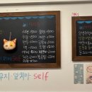 내방안 고양이 이미지