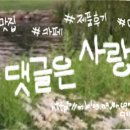 싸닭덕풍시장 이미지