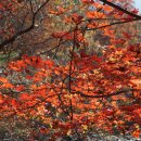 영산강로 | 무안 가 볼 만한 곳