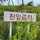 포어로스트볼