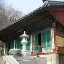 백천화주 이미지