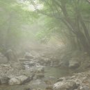 상봉동-033 이미지