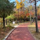 센츄럴팜약국 이미지