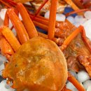 🦀 집에서도 즐기는 영덕대게! 택배로 신선하게 받아본 후기