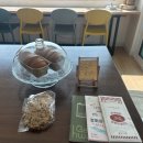 달에게 빌려온 하루 이미지