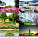 배산목장 이미지