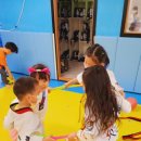 화심회라온 태권도 이미지