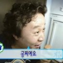 누노헤어