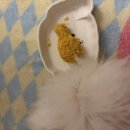 온새네 간식점 이미지