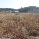 월곡마을회관 이미지