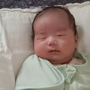 율탱 이미지