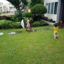 소도락하우스 | 제주도 한달살기 숙소 추천, 제주 한림 소도락하우스(가격, 위치, 비용 등)