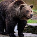 김정환농장 이미지