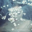 의외의 sm여자 솔로가수 초동판매량 1,2위인 가수 이미지