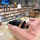 파이터PC방 | [방문후기] 만화카페에서 닌텐도스위치랑 플스도 즐길 수 있는 &#39;벅스만화카페&#39; [광주만화카페, 수완지구...