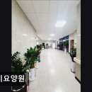 양지요양원 이미지