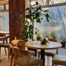 물푸레 북카페 이미지