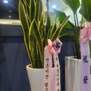 두뇌로영재수학부천시흥지사 이미지
