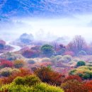 인제관광정보센터 이미지