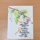 펜&수채캘리그라피 2급(호수경강사) 이미지