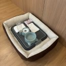 다빈이불 - 이천시 대월로 927 | 전주 애견동반 여행 애견운동장 루프탑 있는 다빈호텔 재방문 (바베큐 OK)
