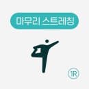 슈가복싱 이미지