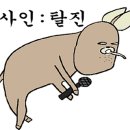 멍펜션6 네이버블로그